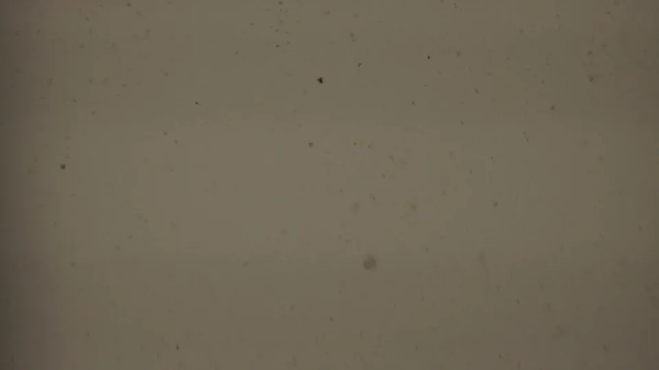 1956 8mm Hatfield, Pennsylvania home-movie frame showing a blank tan film surface with scattered dust, faint scratches, and soft edge darkening.
