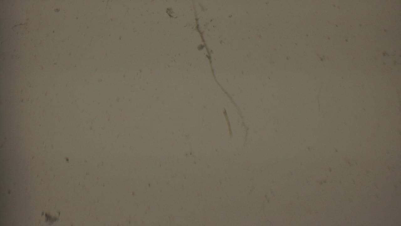 Blank tan film frame with scattered specks, scratches, and uneven exposure.