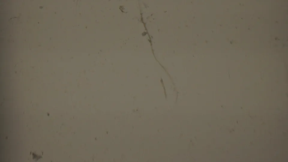 1956 8mm Hatfield, Pennsylvania frame with a muted blank film field, surface dust, a few visible scratch marks, and slight tonal falloff at the edges.