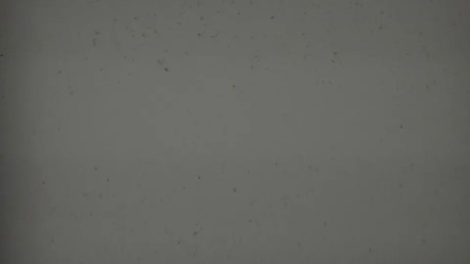 1956 8mm Hatfield, Pennsylvania home-movie frame showing grey-green blank film texture with dust specks, grain, and a soft darker band near the center.