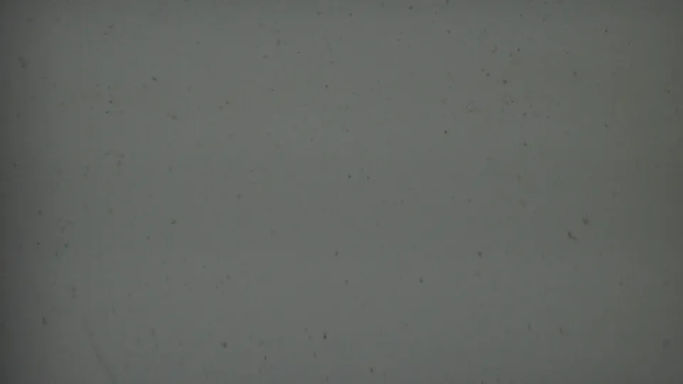 1956 8mm Hatfield, Pennsylvania frame showing a blank grey film surface with fine dust, faint scratches, slight flicker-like density variation, and darkened edges.