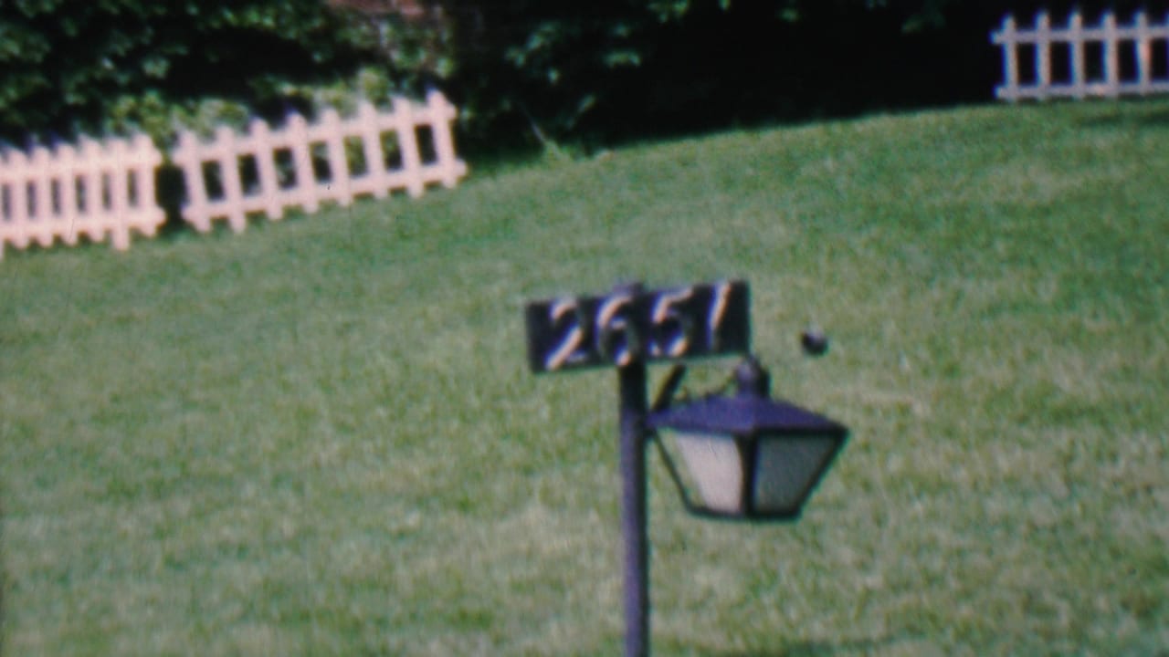 Lamp post number 2651 centered over a green lawn with fence sections behind it.