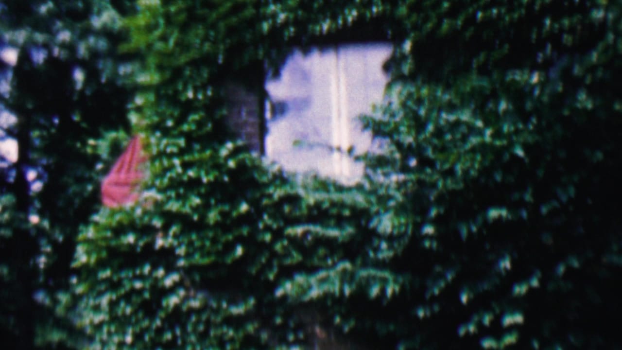 In Hatfield, Pennsylvania, according to metadata, a 1956 8mm frame shows a house exterior heavily covered in ivy with a small red flag-like shape and leafy trees in front.