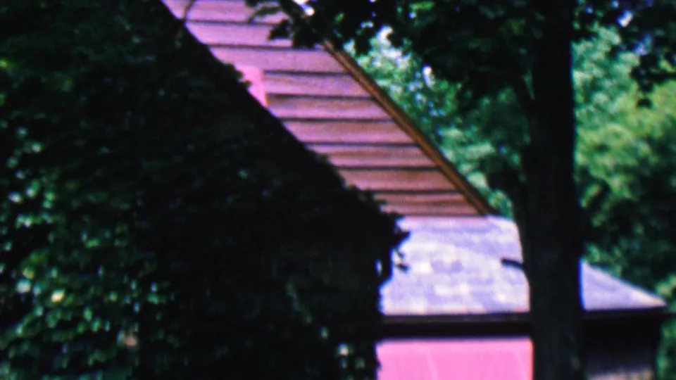 A tree trunk, ivy, a reddish roofline, and a pale wall fill the frame, preserving a brief home-movie view of the house exterior.