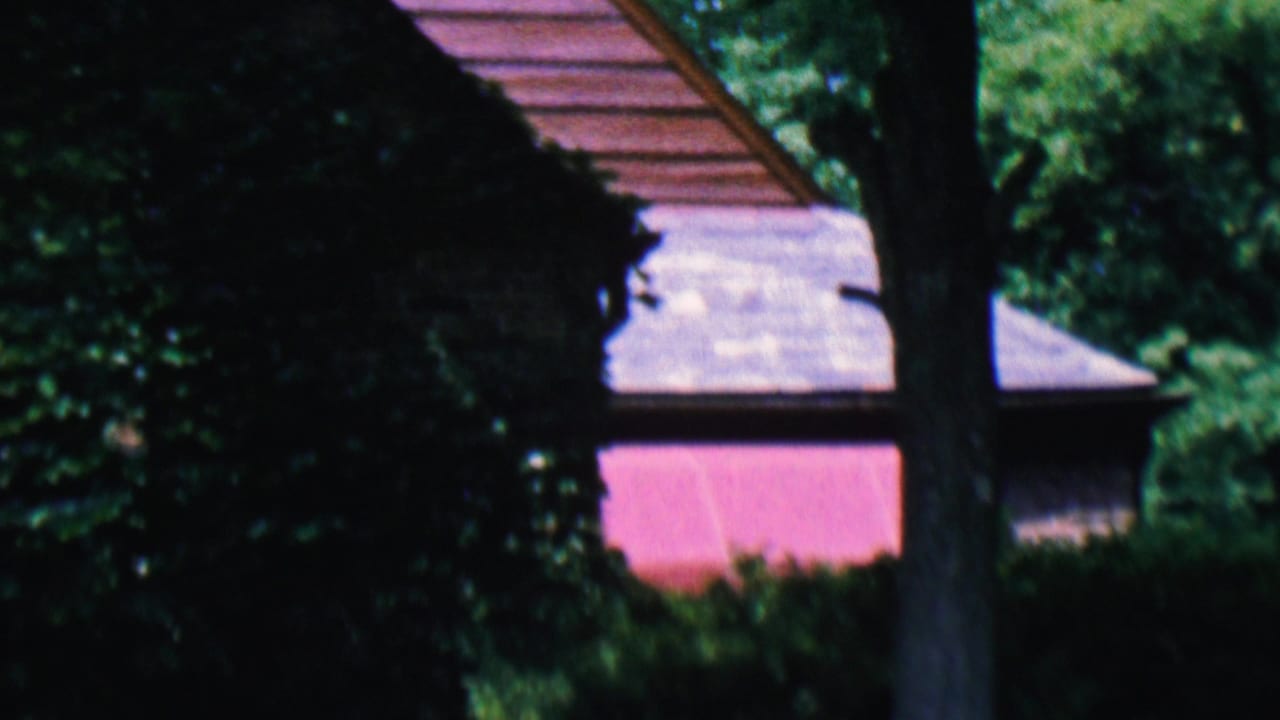 Tree trunks and dark foliage partly block a house with a pink wall and dark roof.