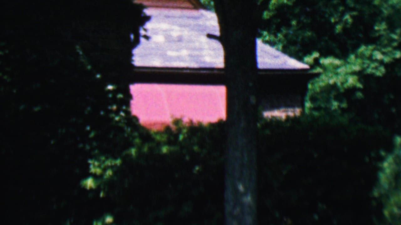 A pink house wall and dark roof are partially obscured by trees and heavy greenery.