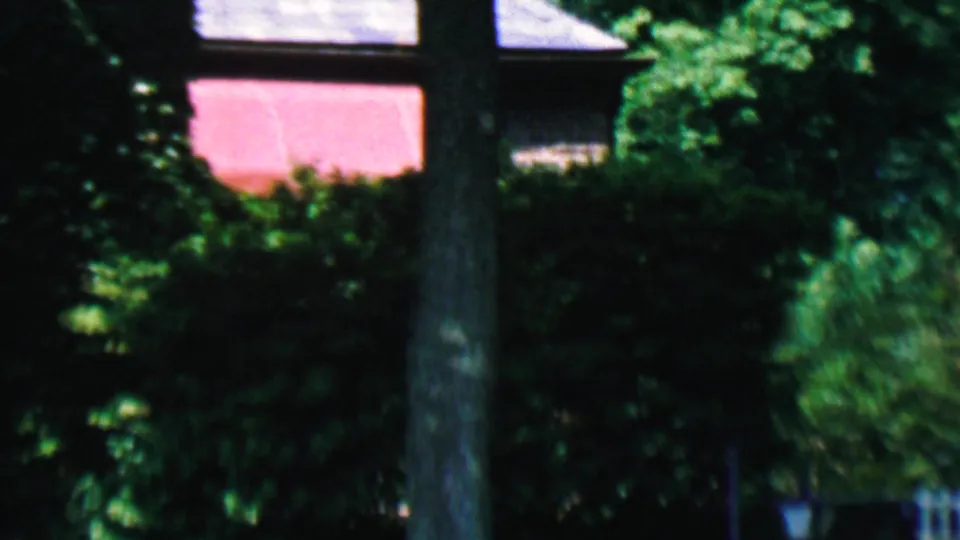 Shaky 8mm frame from 1956 Hatfield showing a large tree trunk in a residential yard, with shrubs, grass, and a partially visible pink house wall behind it.