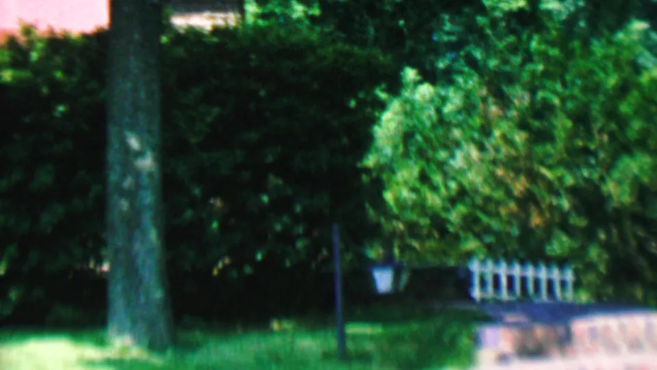 1956 Hatfield, Pennsylvania yard view with a large tree, bright lawn, dense shrubs, a small white fence section, and a stone or concrete border near the lower right.