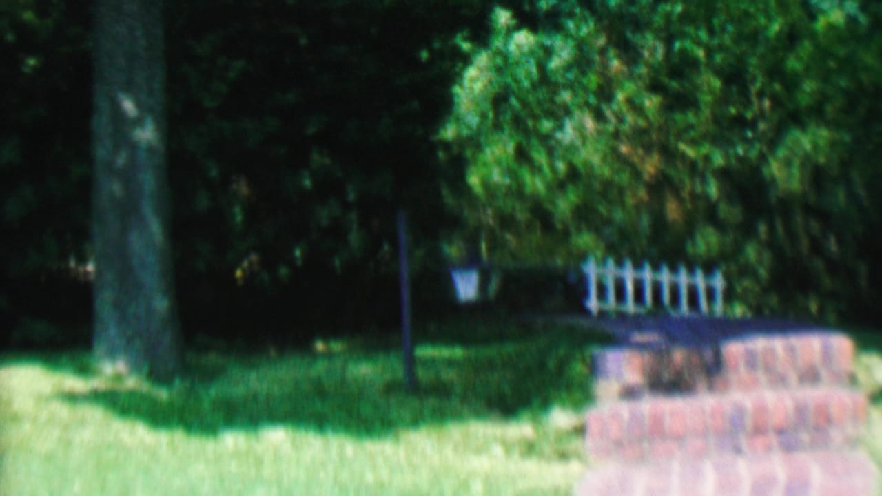 Shaded backyard lawn with trees, a brick retaining wall, and a white fence.