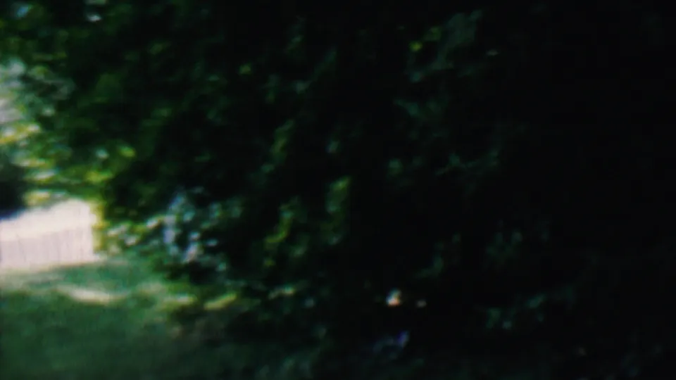 1956 Hatfield, Pennsylvania home-movie frame showing dense leafy shade, a white fence partly visible through the trees, and a dark foreground area at the edge of the yard.