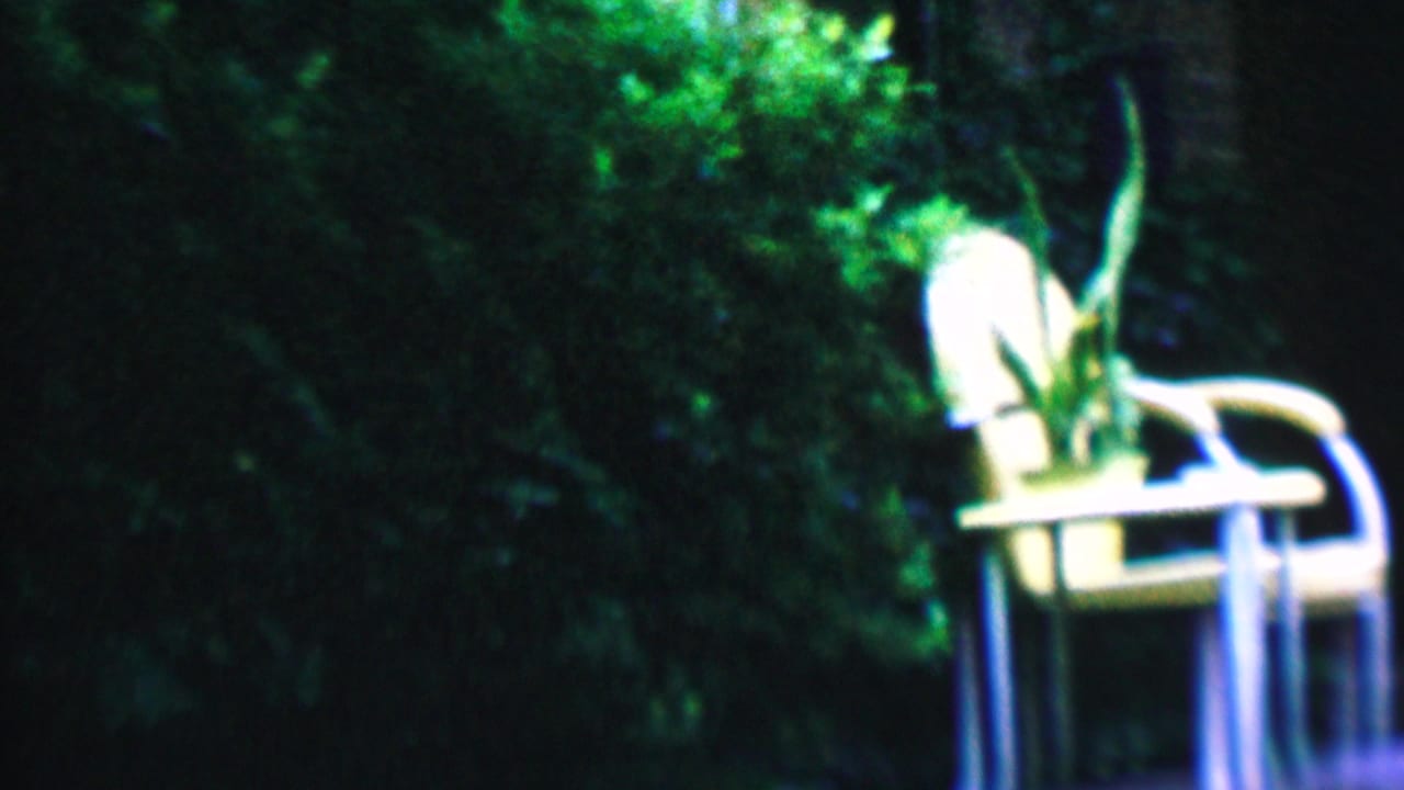 White outdoor chair with a potted plant sits near dark foliage.