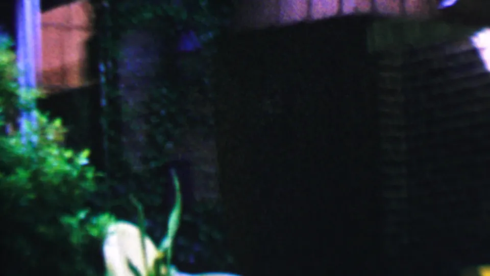 Low-light 8mm frame showing backyard greenery, a brick or masonry edge, and a white chair with a potted plant in Hatfield, Pennsylvania.