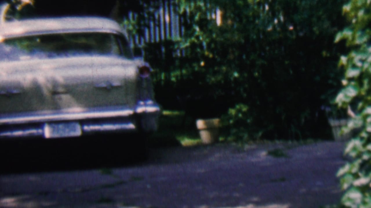 Closer rear view of the car with driveway and surrounding plants.