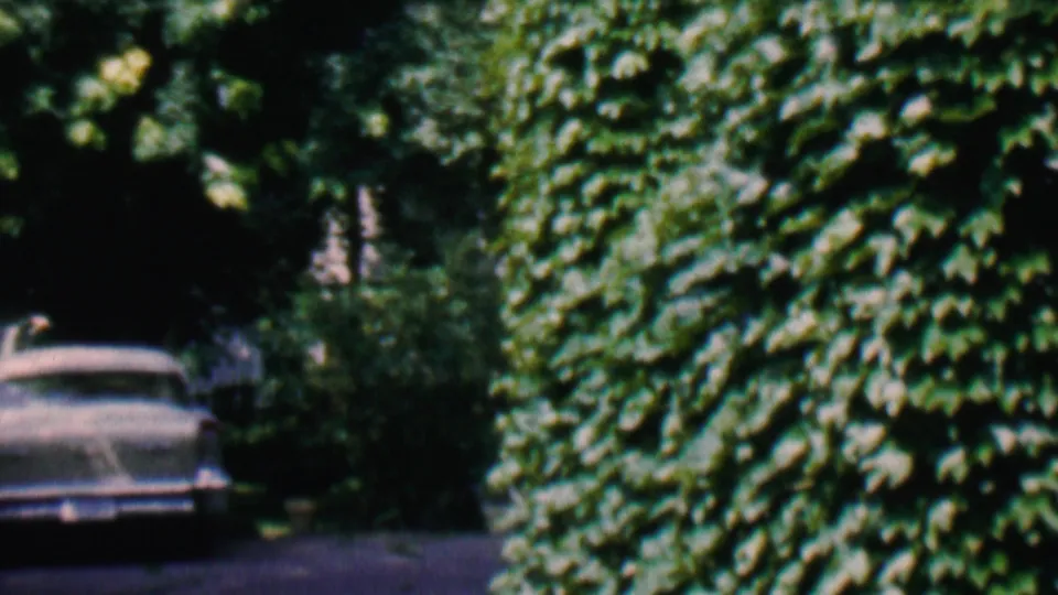 The final frame widens to show the car farther down the driveway, partly surrounded by heavy green foliage and a sunlit leafy wall.
