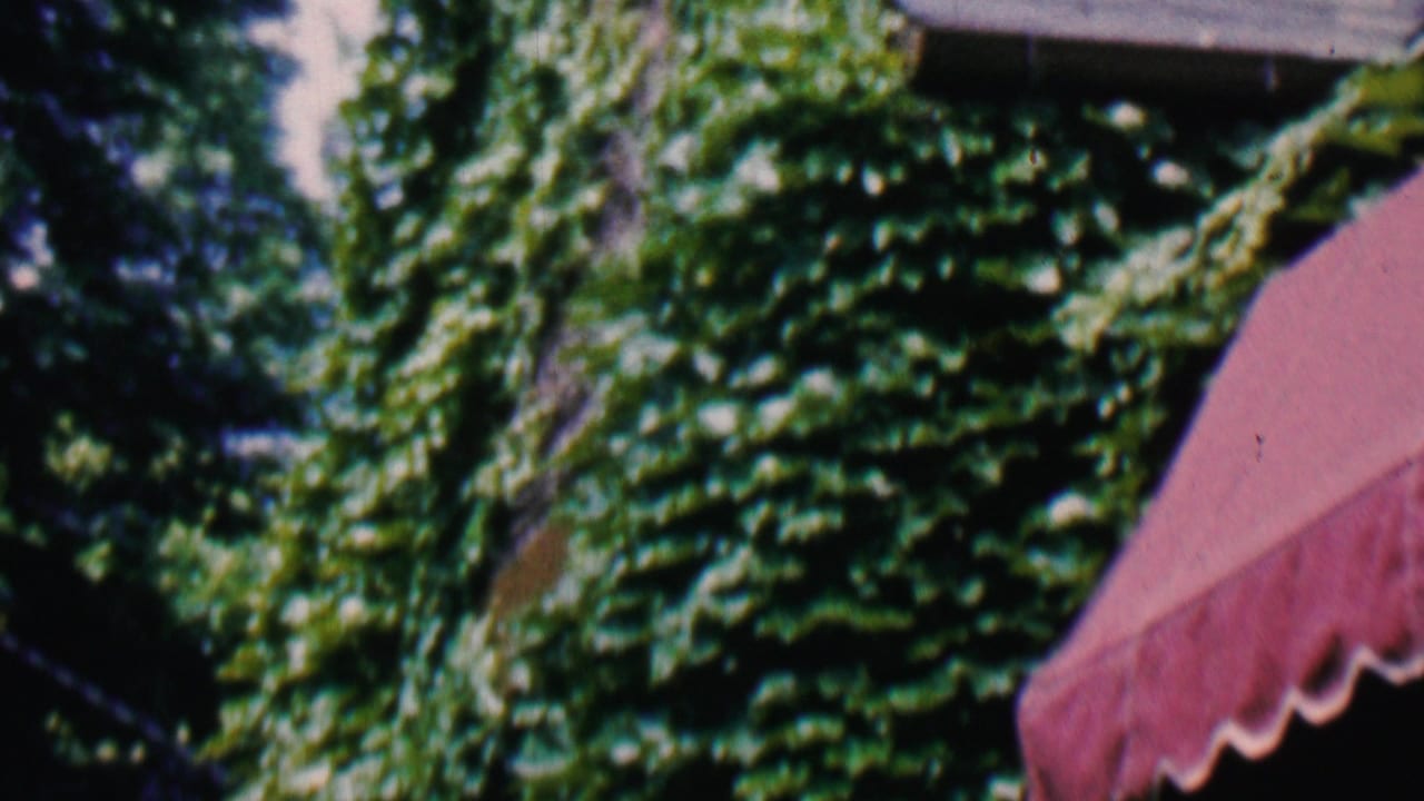 Ivy-covered exterior area with a red awning edge and part of a roofline.