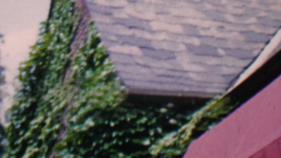 1956 Hatfield, Pennsylvania home exterior frame showing a gray shingled roof, dense ivy growth, and a red awning below the roofline.