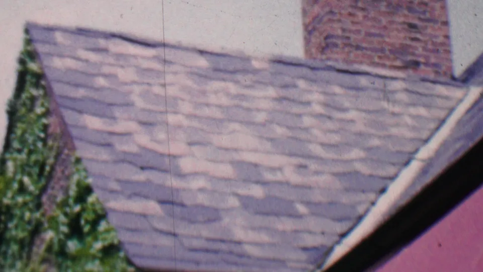 1956 Hatfield, Pennsylvania frame showing a residential roof with gray shingles, a brick chimney, green ivy, and the edge of a red fabric awning.