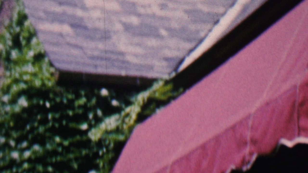 Pink scalloped awning beside leafy backyard greenery.