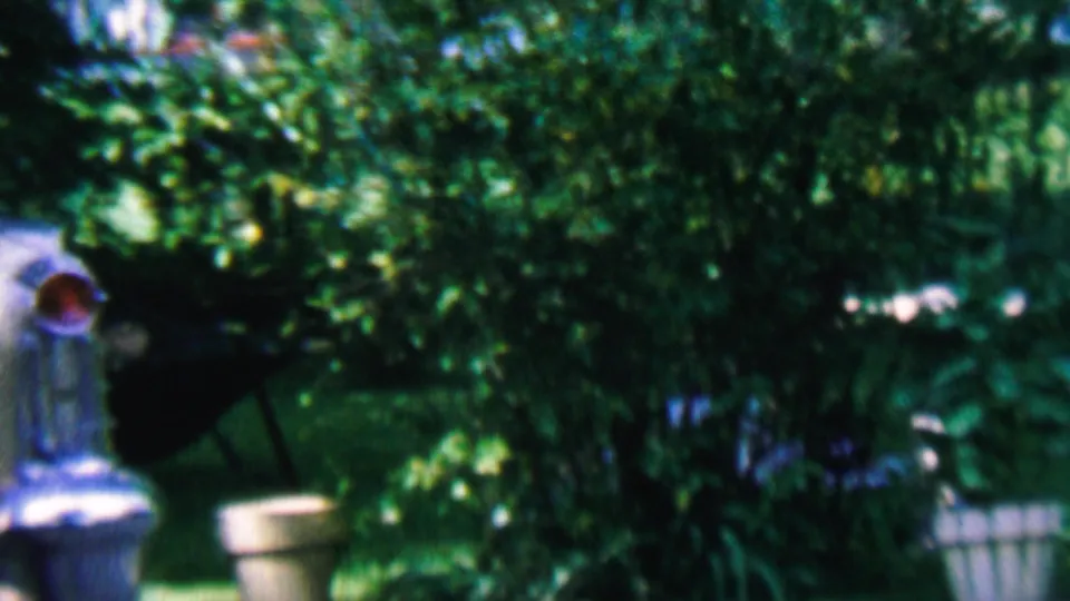This 1956 Hatfield, Pennsylvania frame captures a shaded garden area with dense greenery, a potted plant, part of a bench, and partial outdoor furniture at the edge of the frame.