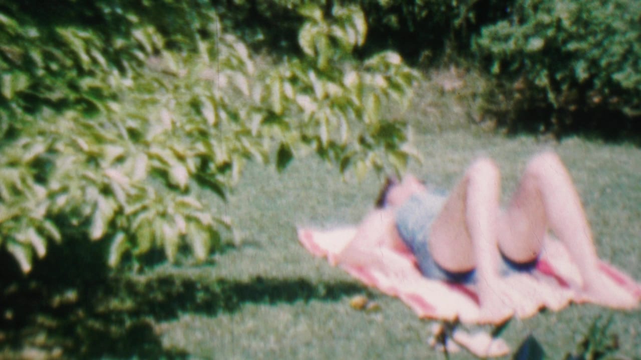 Person reclining on a pink towel on a sunny lawn near leafy shrubs.