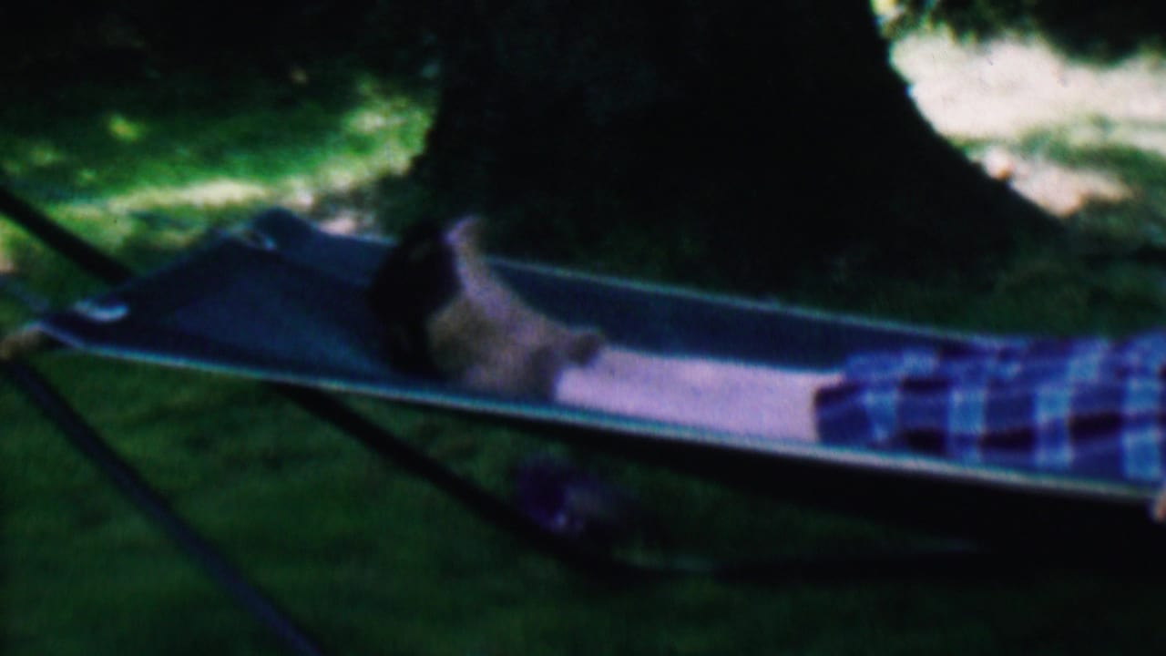Side view of the woman lying low in the hammock beneath tree shade.