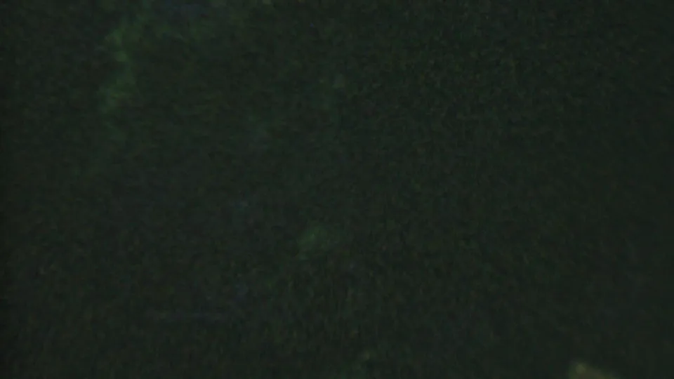 Dark 1956 8mm frame from Hatfield, Pennsylvania showing a shadowed area below the building facade with indistinct vegetation or ground texture.