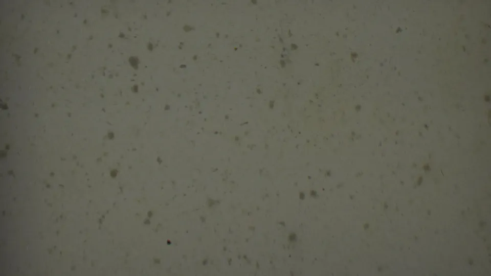 Pale 8mm film texture from the 1955 Solvang reel with scattered specks, dust, soft focus, and a small dark mark near the lower center.