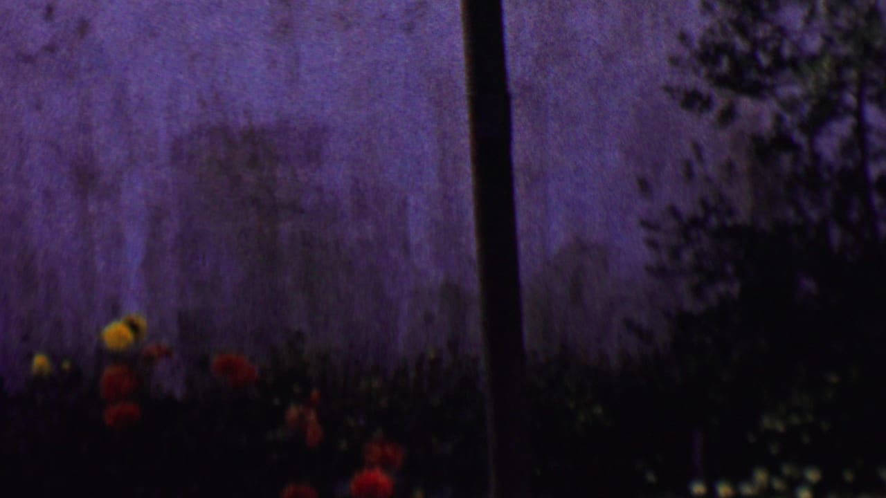 1955 Solvang, California home-movie frame showing a pale stone church exterior, garden flowers, shrubs, and a dark tree trunk crossing the view.