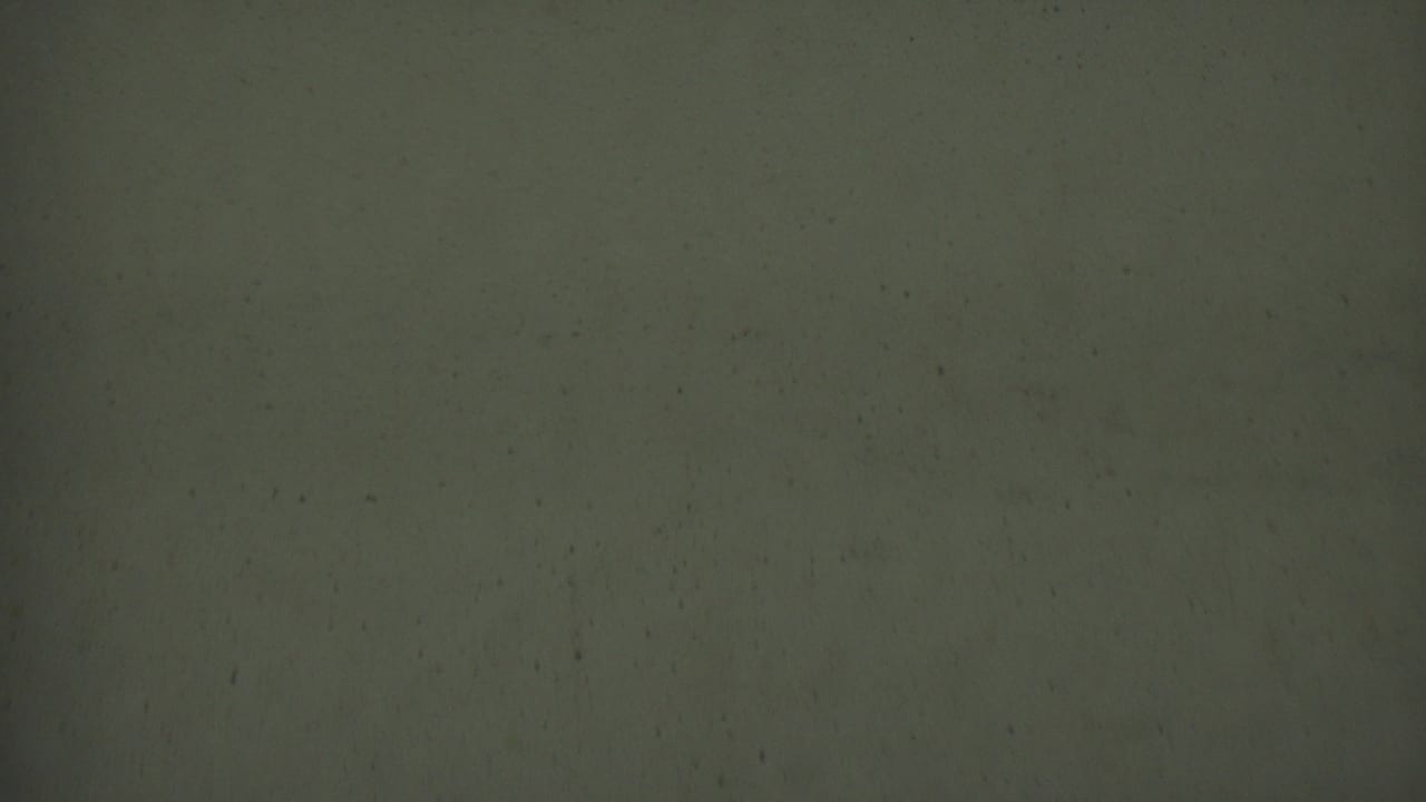 Metadata-supported 1950 Detroit 8mm frame showing a dim textured surface with grain, scattered dust, faint scratches, and no visible subject.