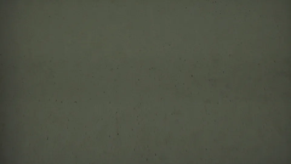 Metadata-supported 1950 Detroit 8mm frame showing a dim textured surface with grain, scattered dust, faint scratches, and no visible subject.