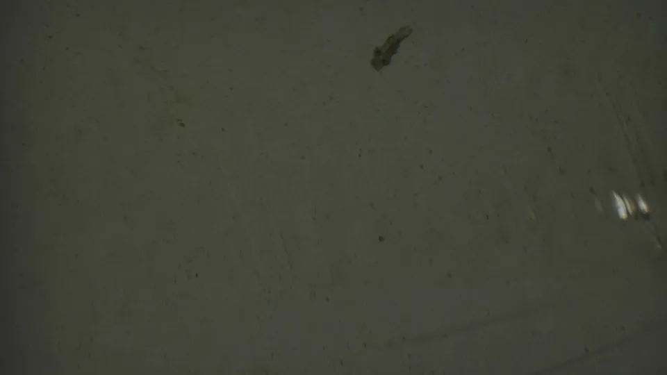 Metadata-supported 1950 Detroit 8mm frame of a muted gray-green surface with visible grain, dust particles, faint abrasions, and a small bright edge mark.