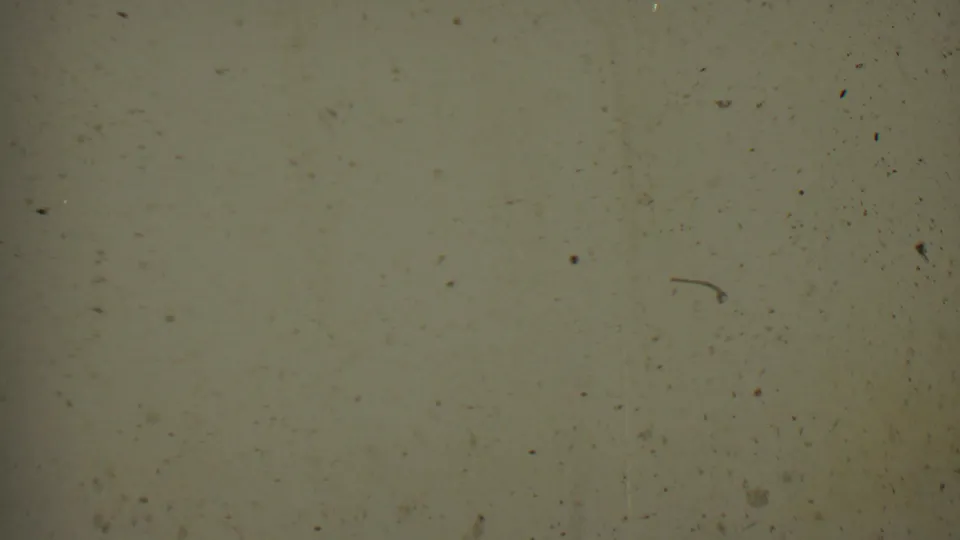 The frame has faded into mostly muted green-gray 8mm film texture with visible dust, specks, and a faint vertical mark.