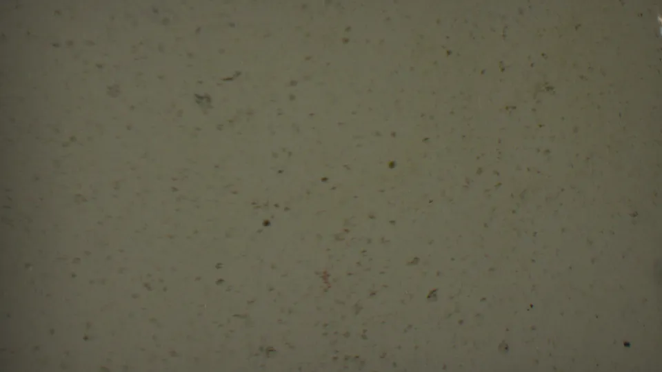 A mostly blank faded 8mm frame shows muted gray-green film grain, dust specks, and subtle exposure variation.