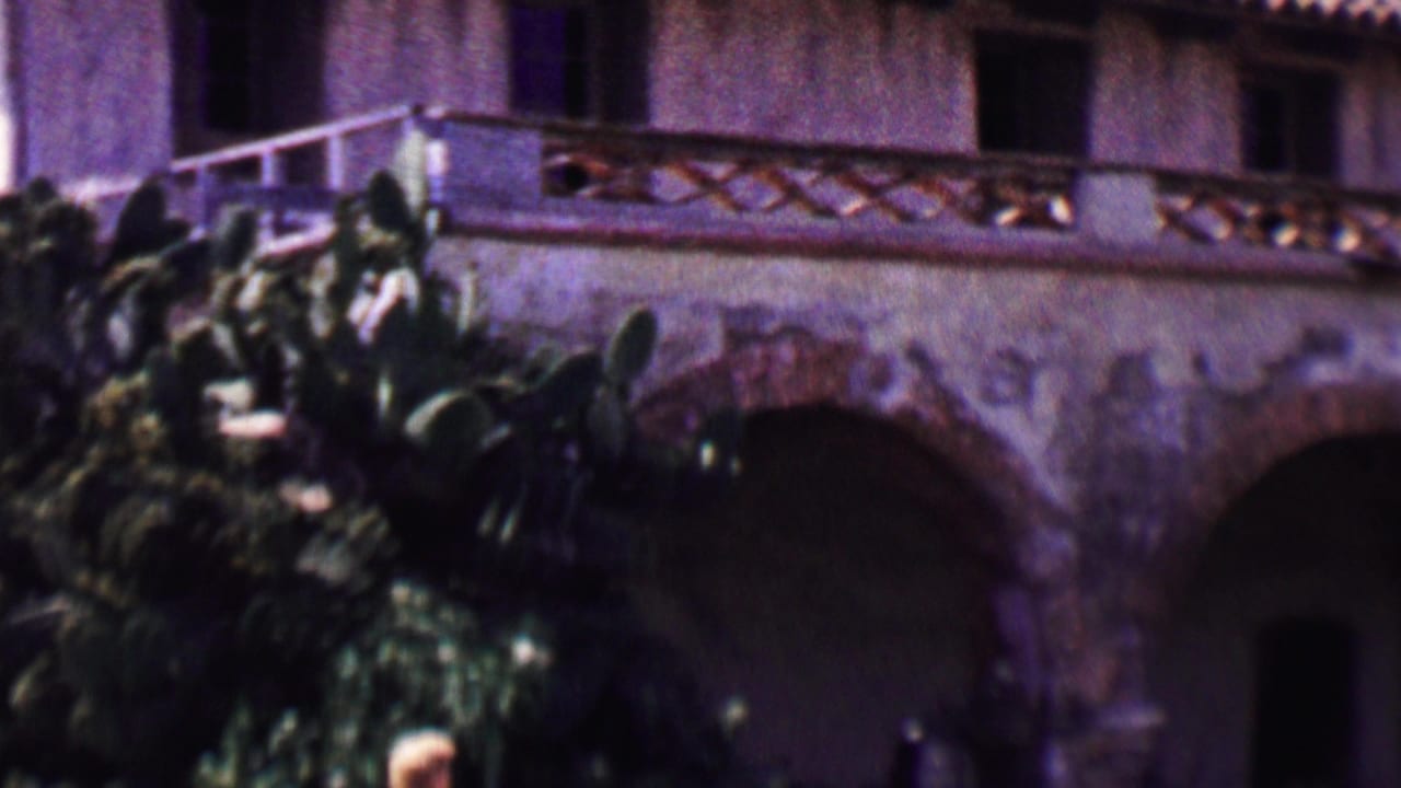 Cactus plants and arched building facade with balcony details behind them.