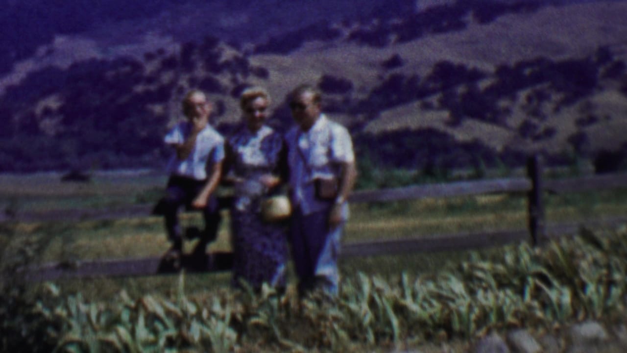 Three people stand by a fence in a grassy hillside landscape.