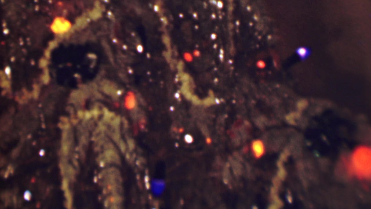 Soft close-up of tree branches with artificial snow, colored bulbs, and shiny decorations.