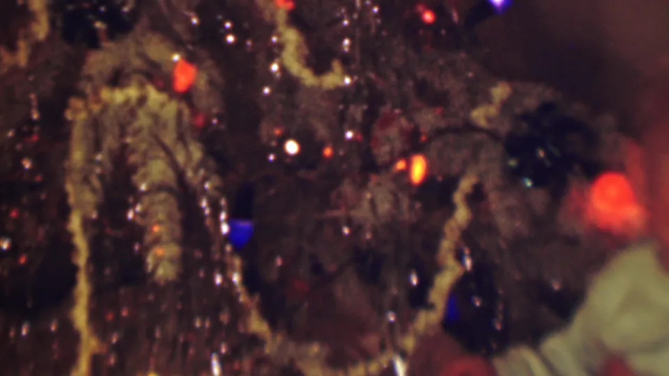 Final frame of the Terre Haute Christmas tree close-up, with colored bulbs, flocked branches, shiny ornaments, and a partial person entering at the lower right edge.