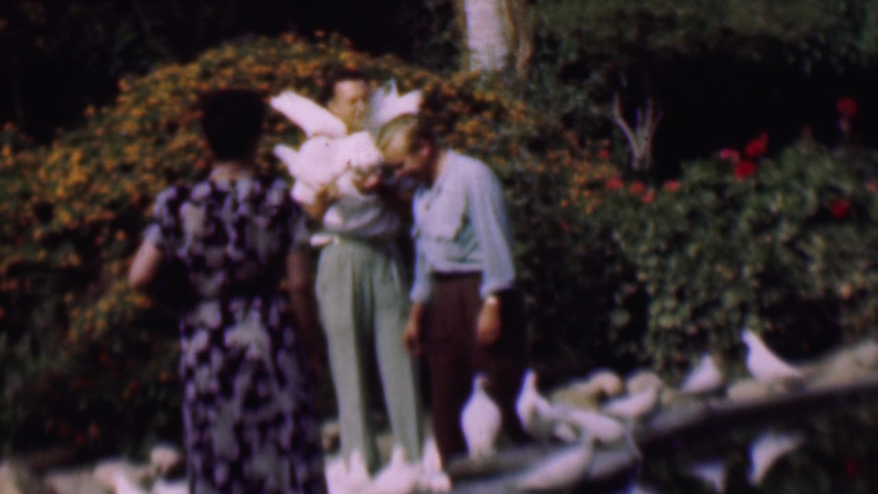 In a 1961 San Diego garden scene, a man holds white pigeons on his arms and shoulders while a woman in a patterned dress and another man stand nearby among shrubs and rocks.