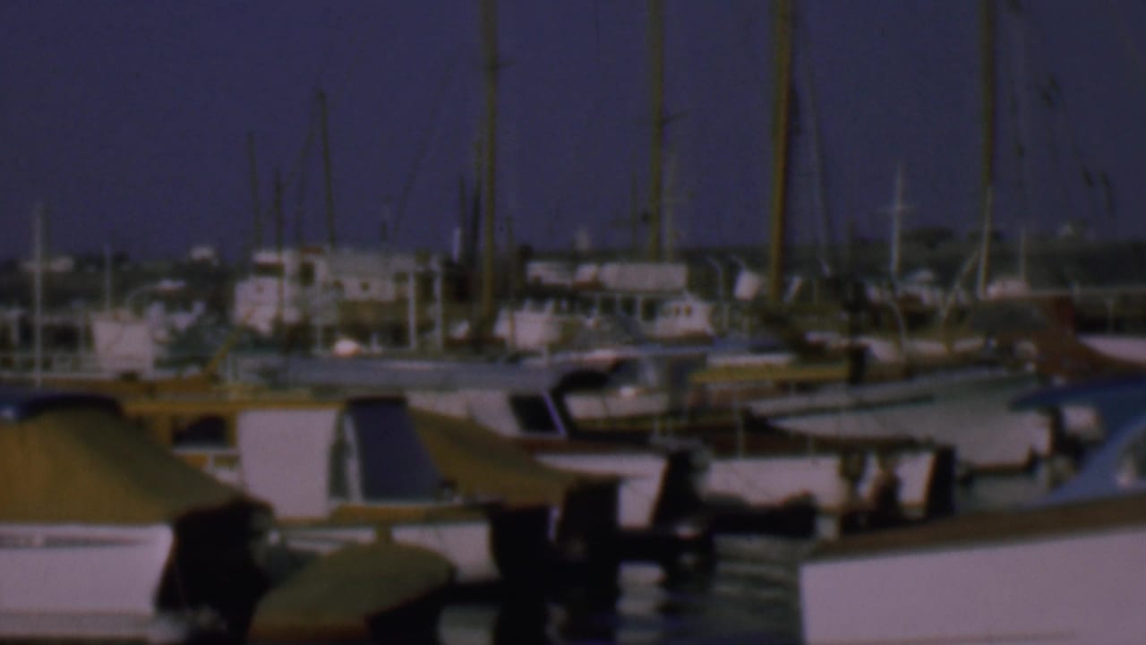 Motorboats and sailboats moored closely together at a marina.