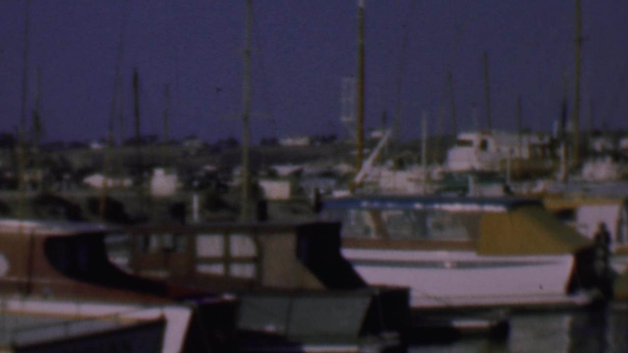 1961 San Diego marina view with docked cabin boats, clustered sailboat masts, calm water, and distant shoreline structures in soft 8mm color.