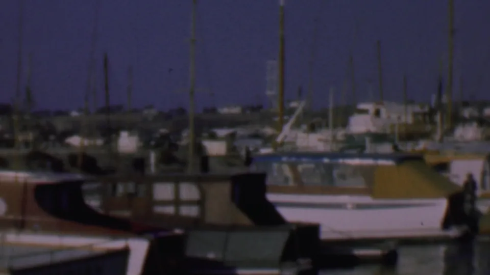 1961 San Diego marina view with docked cabin boats, clustered sailboat masts, calm water, and distant shoreline structures in soft 8mm color.