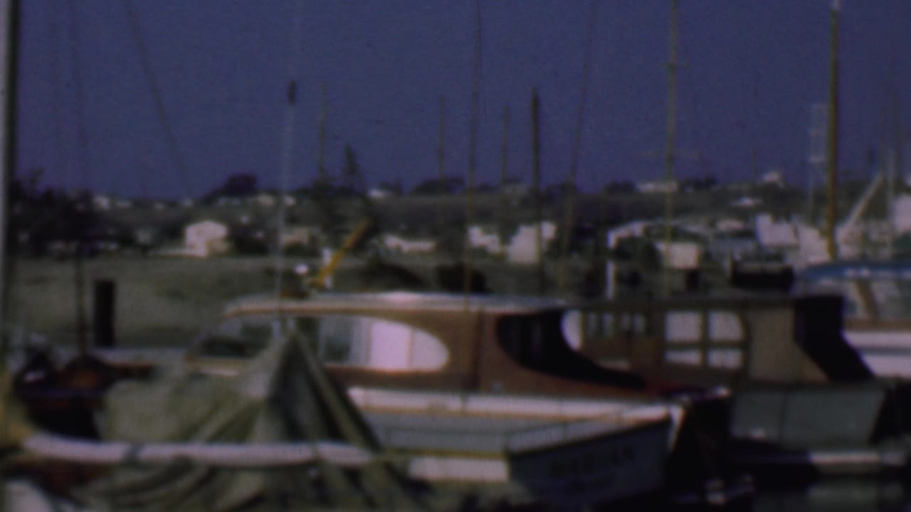 Cabin boats and covered vessels moored closely together at the dock.