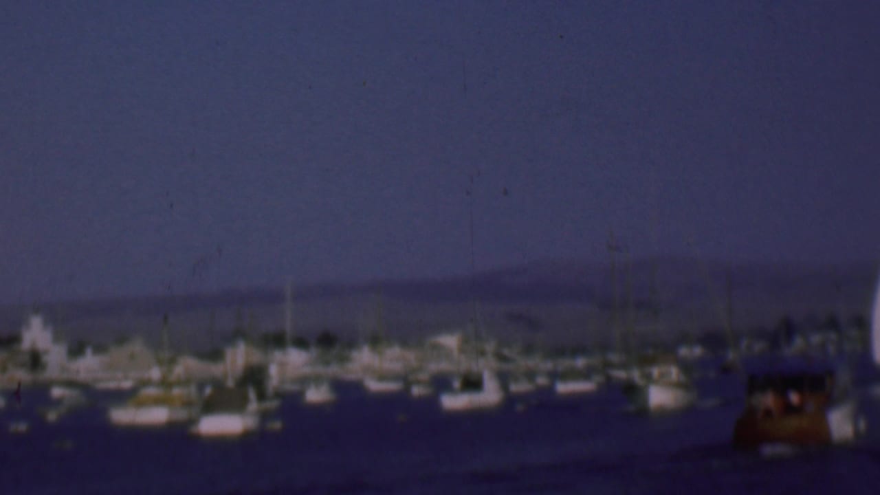A white sail stands among anchored boats with shoreline buildings in the distance.