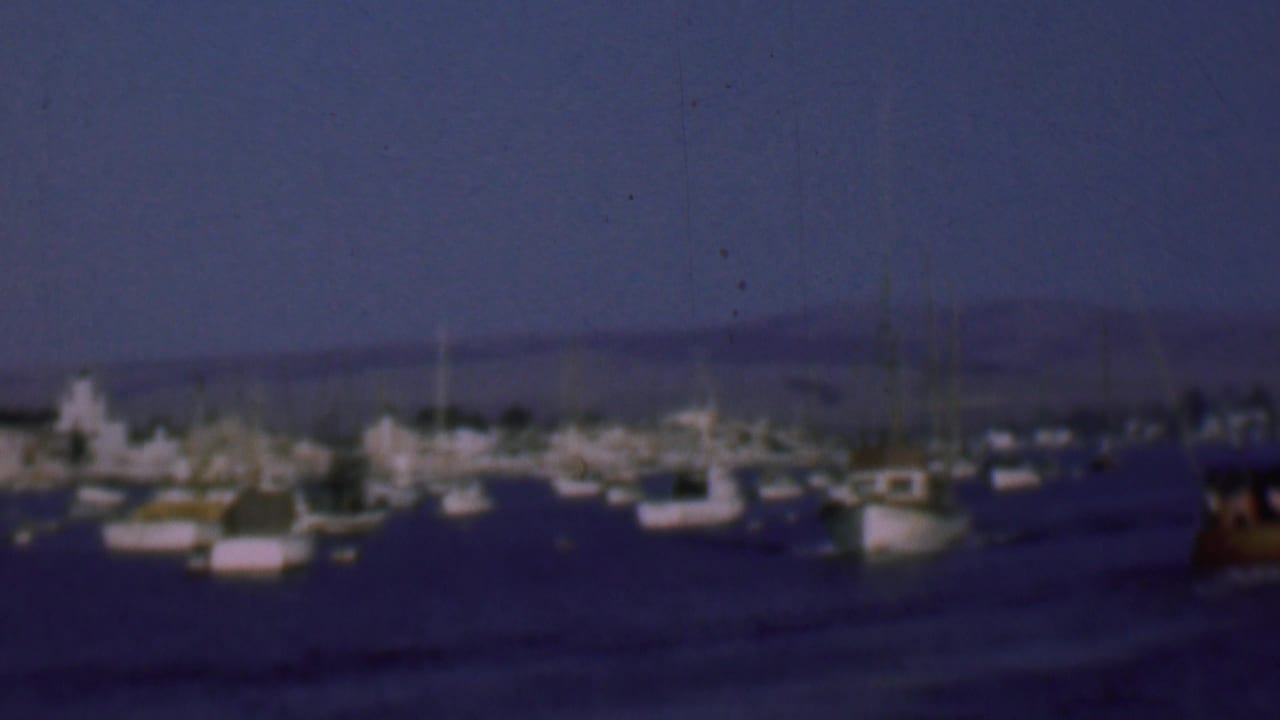 Cluster of sailboats and small harbor craft with a white sail near center.