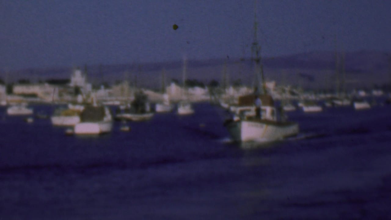 A white fishing boat with a tall mast moves across a harbor filled with small boats.