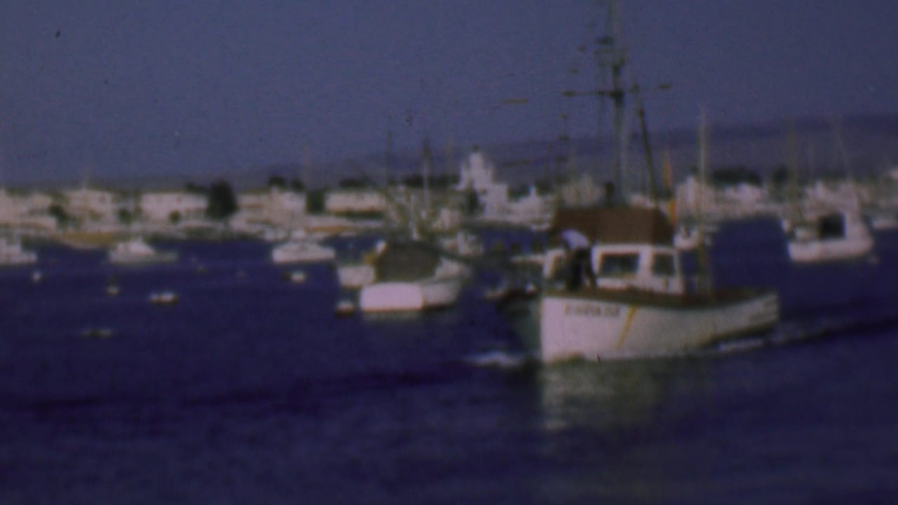 1961 San Diego harbor view with a white fishing boat passing among moored boats, shoreline buildings, masts, and dark blue water in soft 8mm color.