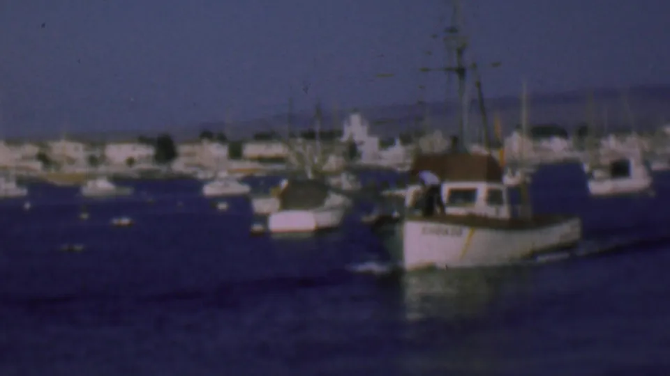 1961 San Diego harbor view with a white fishing boat passing among moored boats, shoreline buildings, masts, and dark blue water in soft 8mm color.
