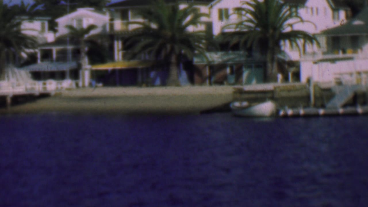 Palm-lined waterfront houses and docks viewed across the water.