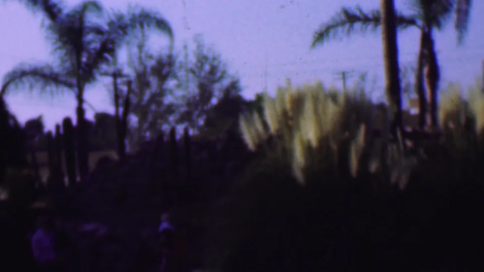 1961 San Diego home-movie frame showing palm trees, ornamental grasses, shrubs, and distant family figures in a landscaped garden.