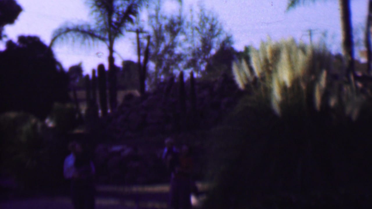 Landscaped garden with palms, tall grasses, shrubs, and people partly obscured by shadow.